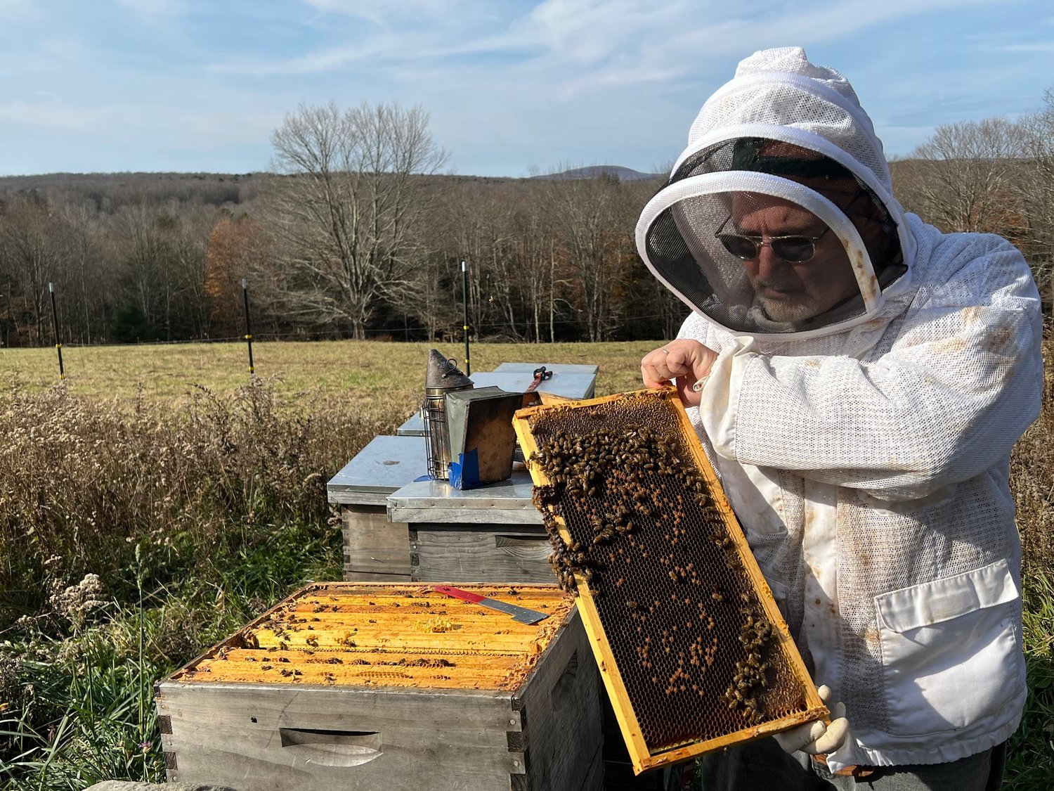 Beekeepers, suited up, kind of do look like astronauts.